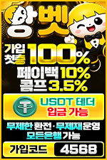 앙벳 메이저놀이터